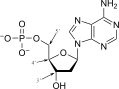 DAMP chemical structure